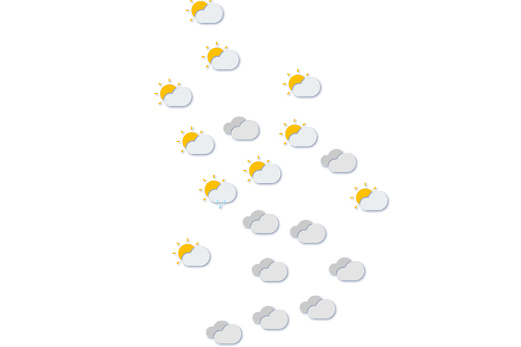 Forecast