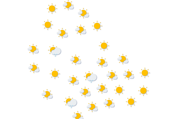 Forecast