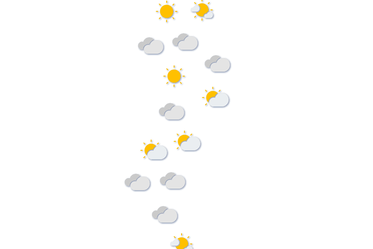 Forecast