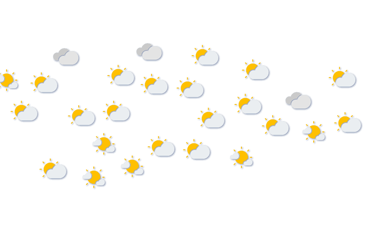 Forecast