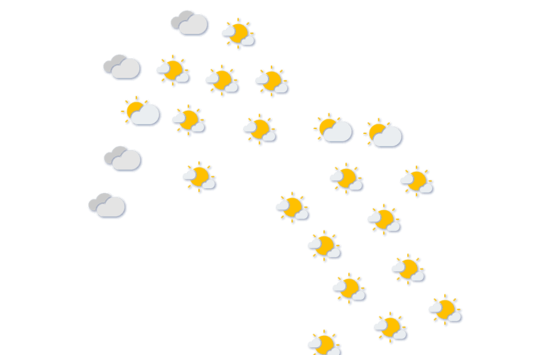 Forecast