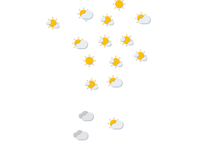 Forecast