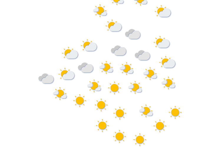 Forecast