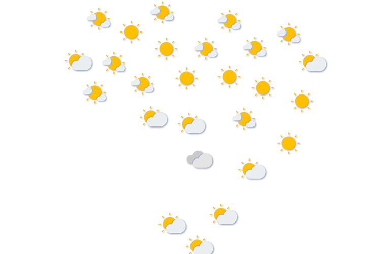 Forecast