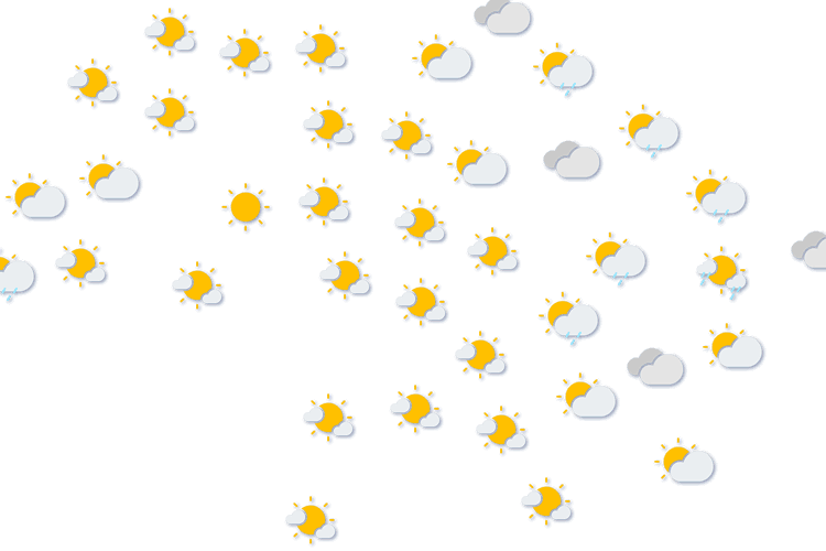 Forecast