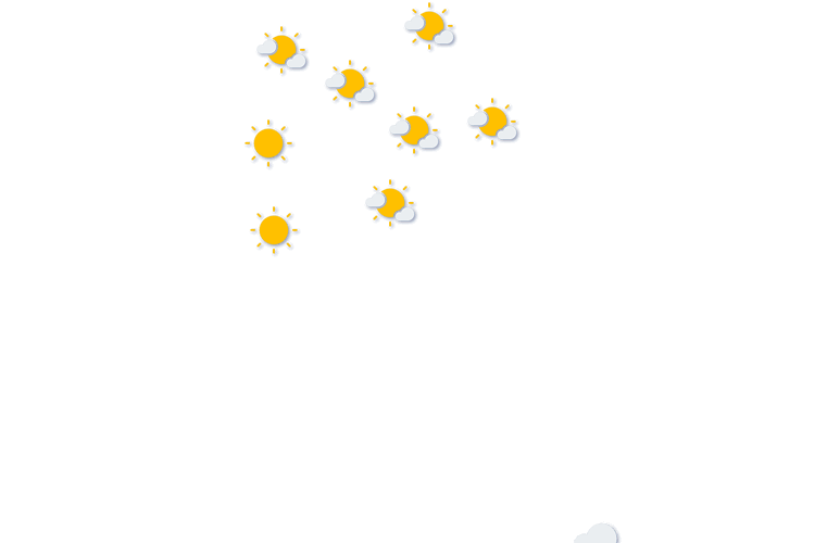 Forecast