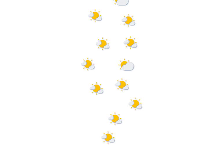 Forecast