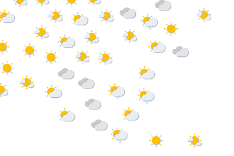 Forecast