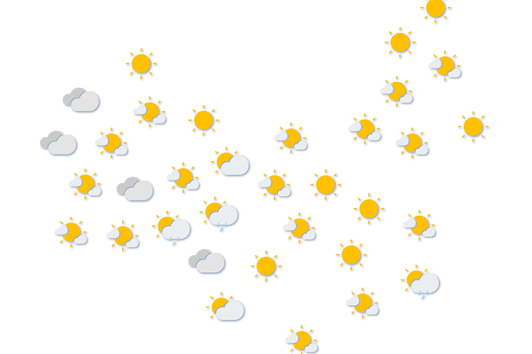 Forecast