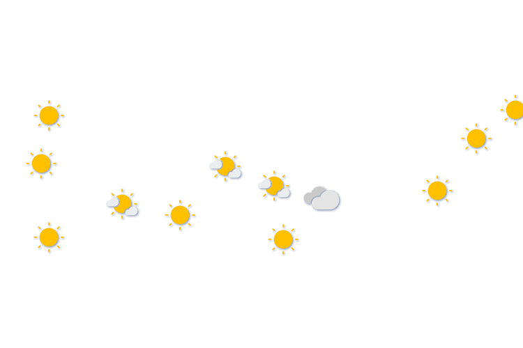 Forecast