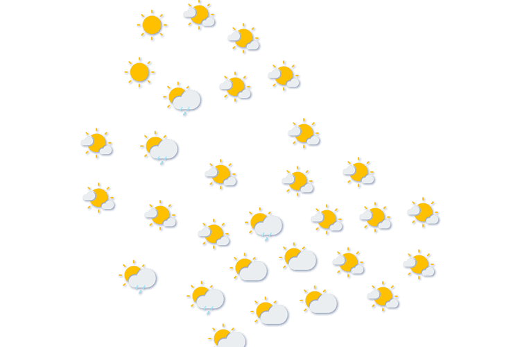 Forecast