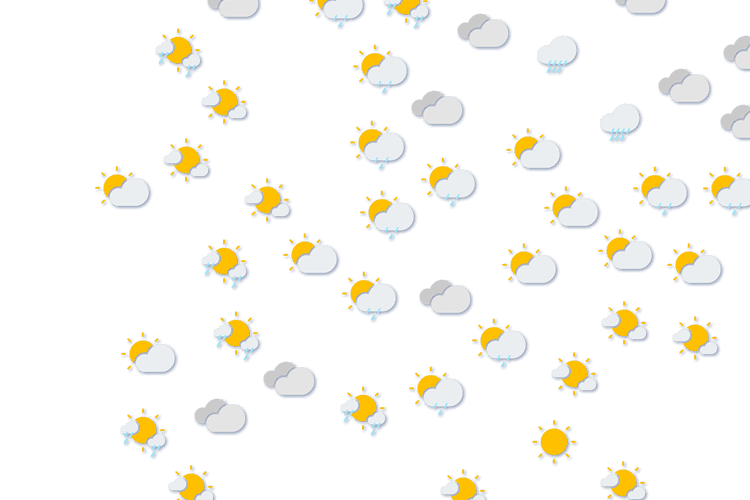 Forecast
