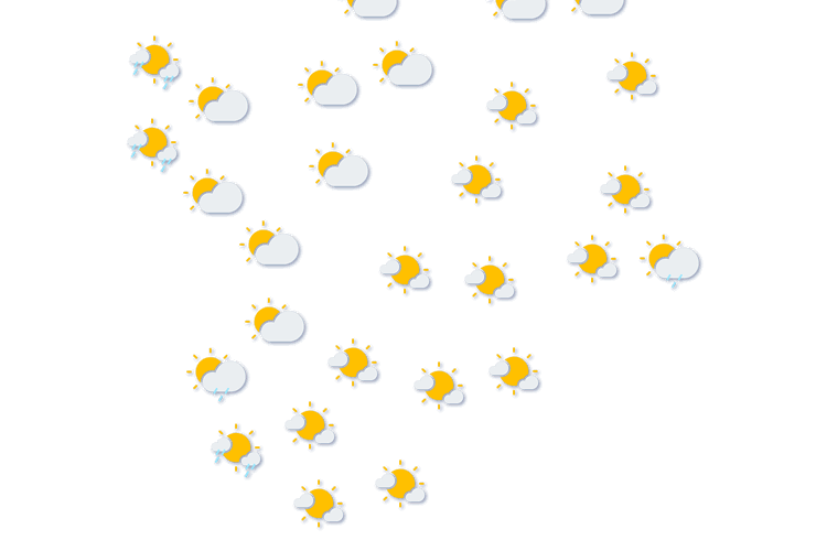 Forecast