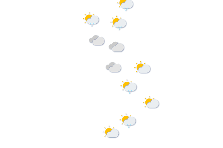 Forecast