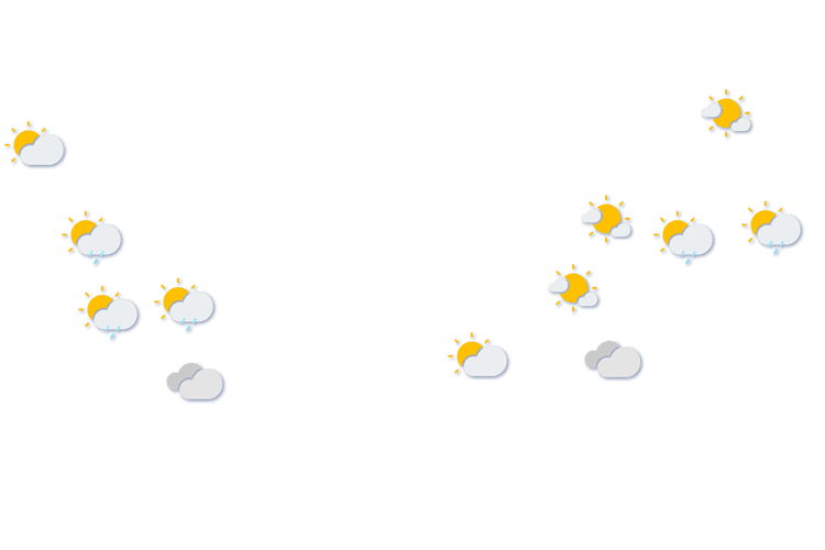 Forecast