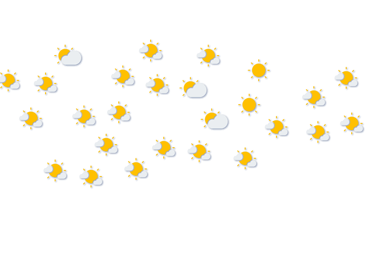 Forecast