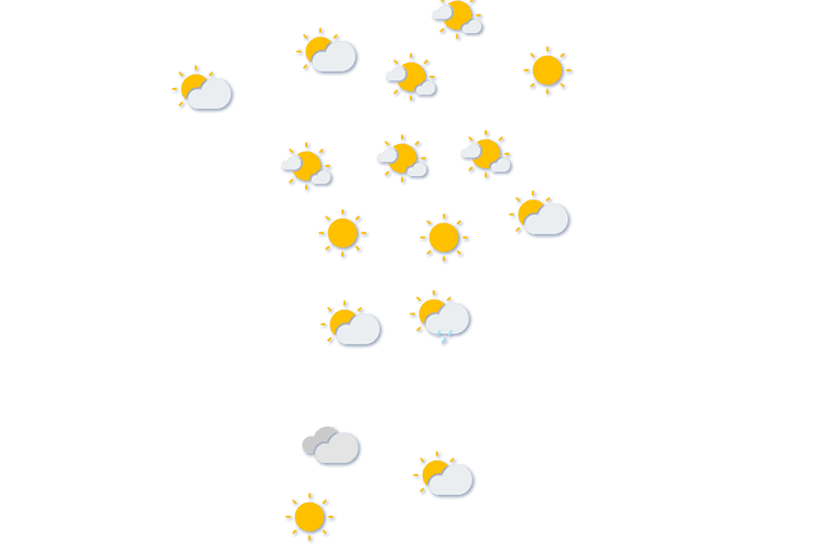 Forecast