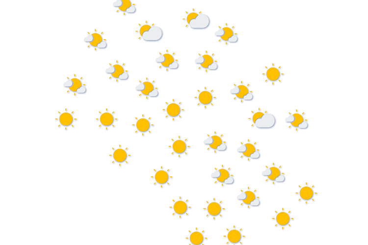 Forecast