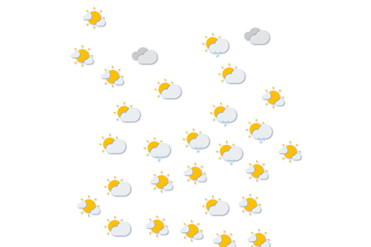 Forecast