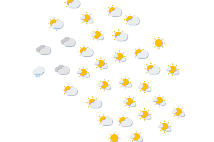 Forecast