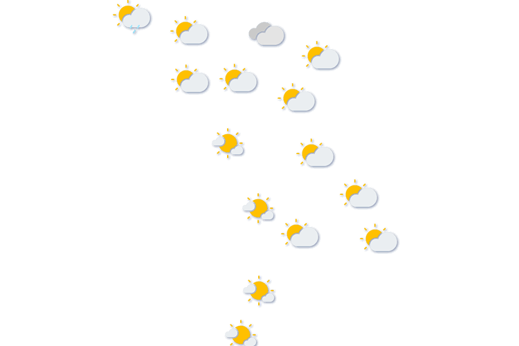 Forecast