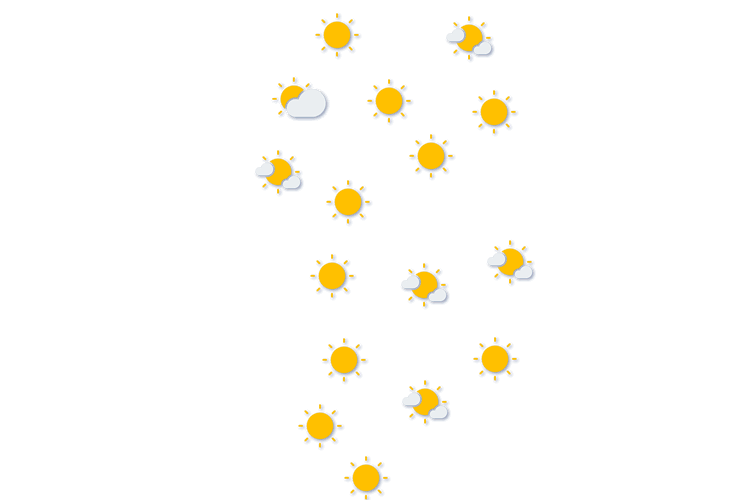 Forecast
