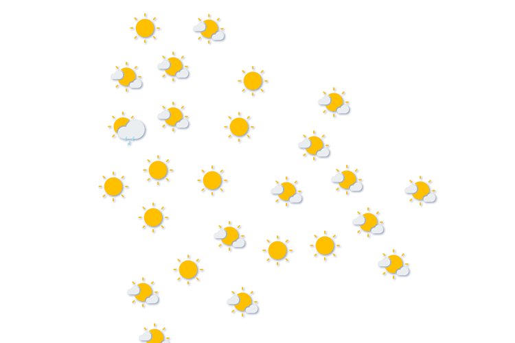 Forecast