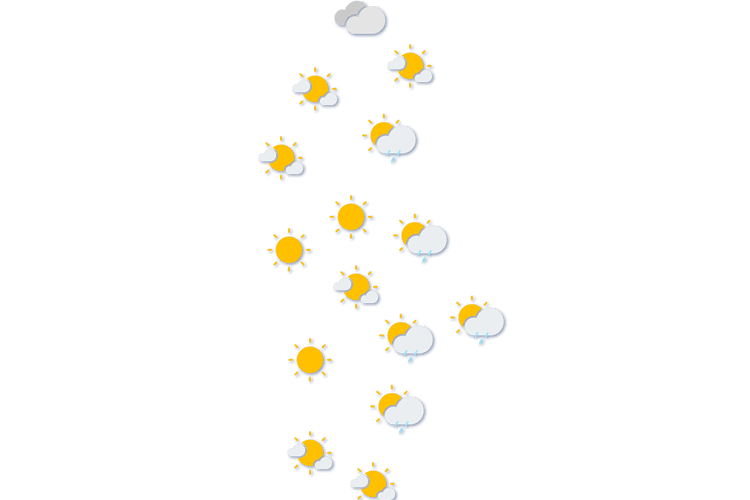 Forecast
