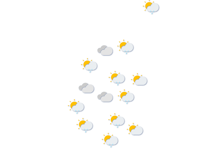 Forecast