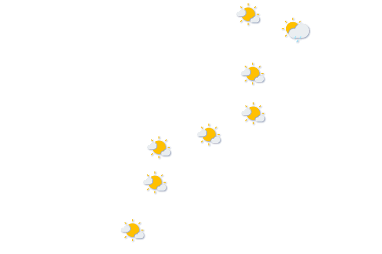 Forecast