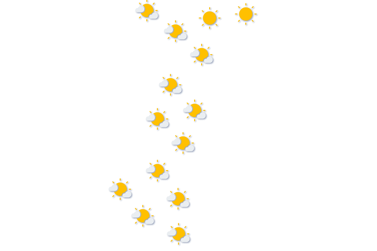 Forecast