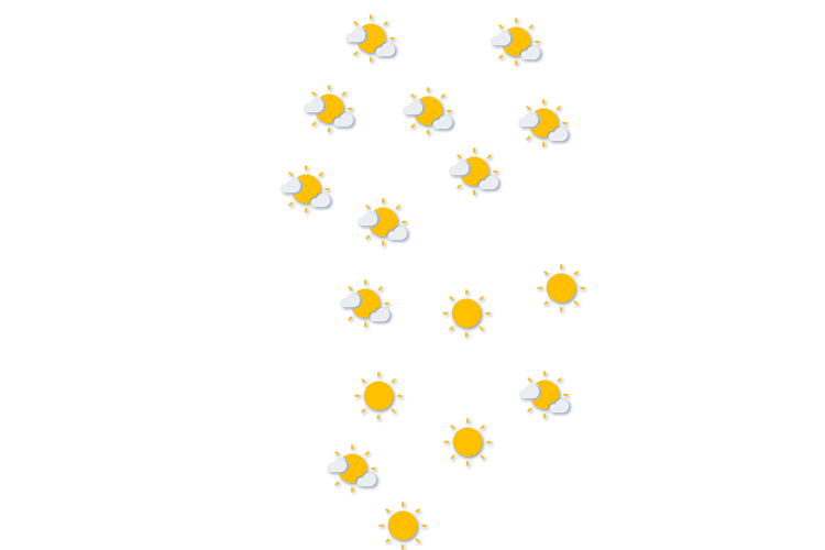 Forecast