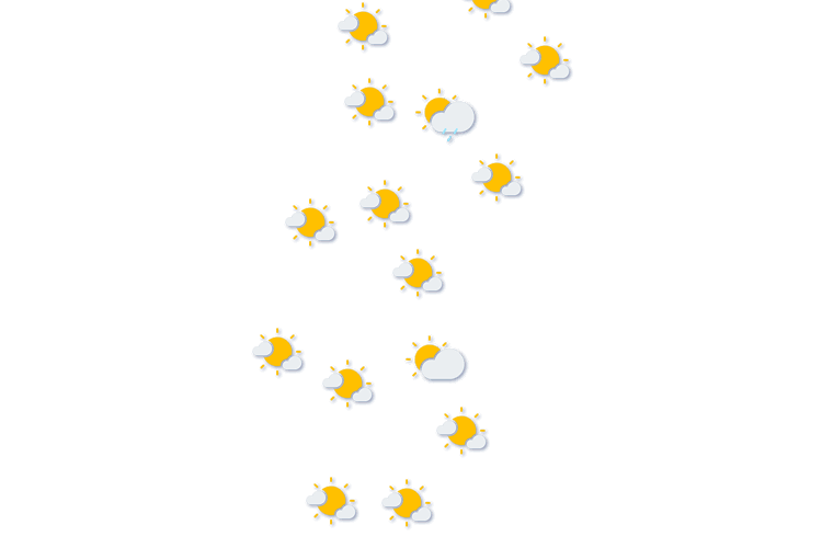 Forecast