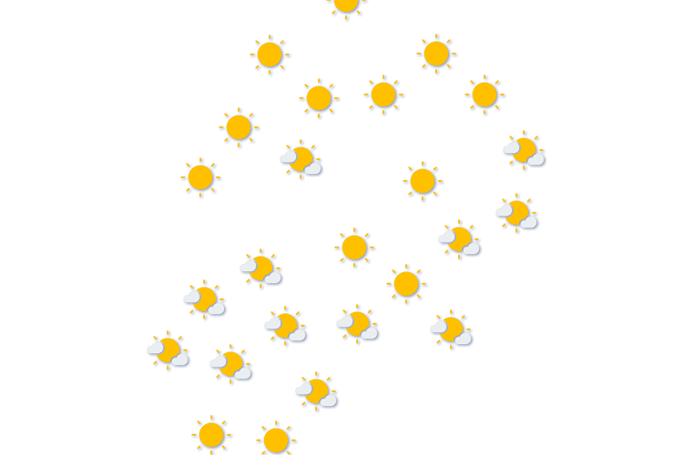 Forecast
