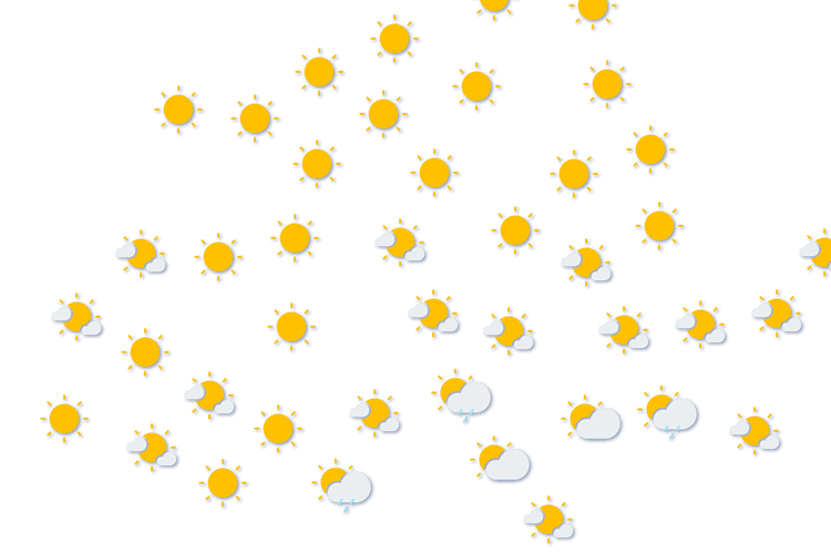 Forecast