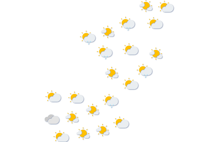 Forecast