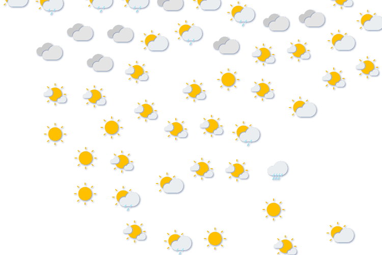 Forecast