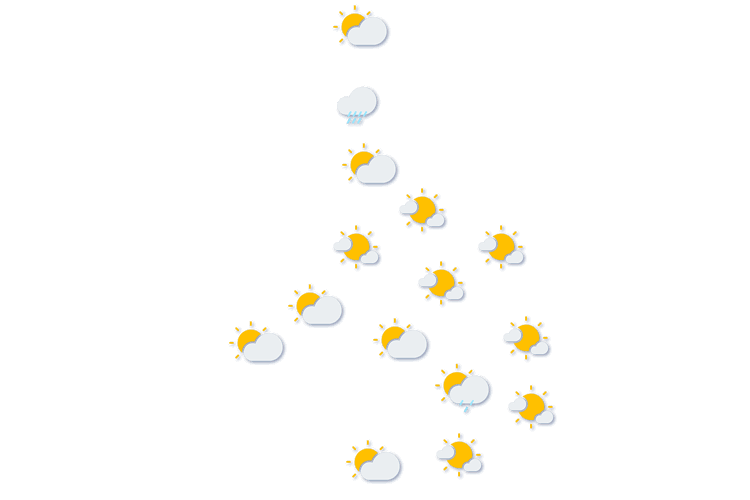 Forecast