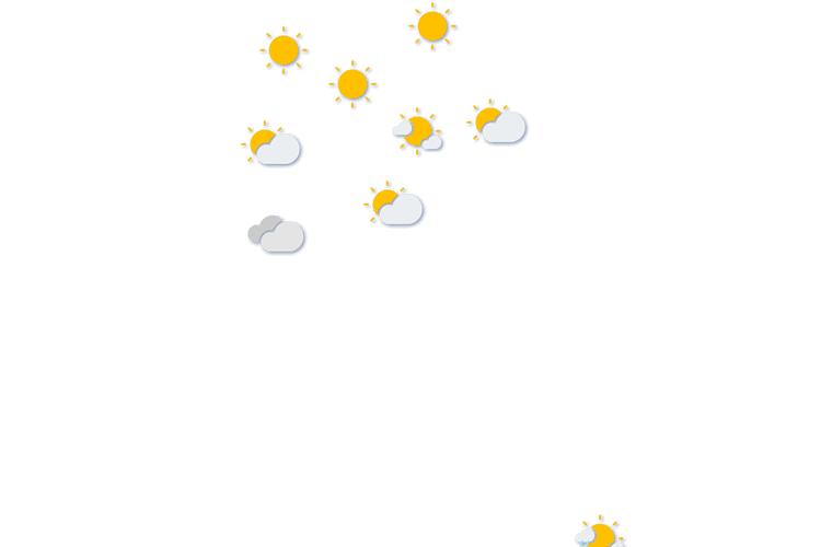 Forecast