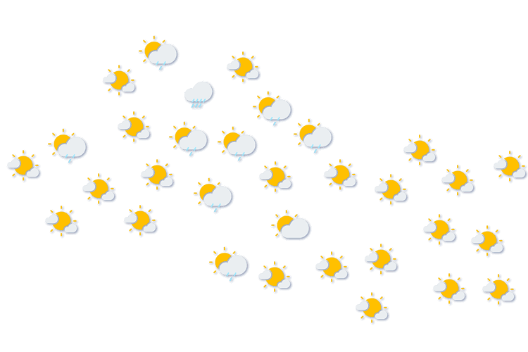 Forecast