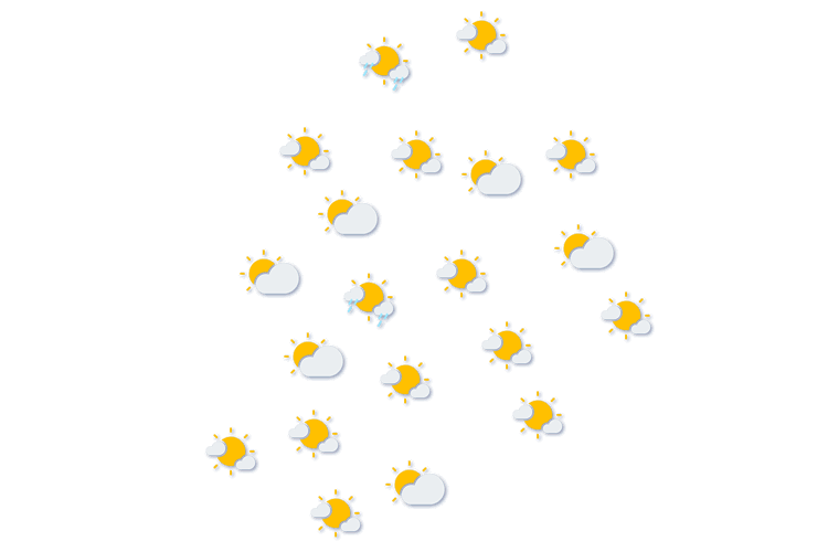 Forecast