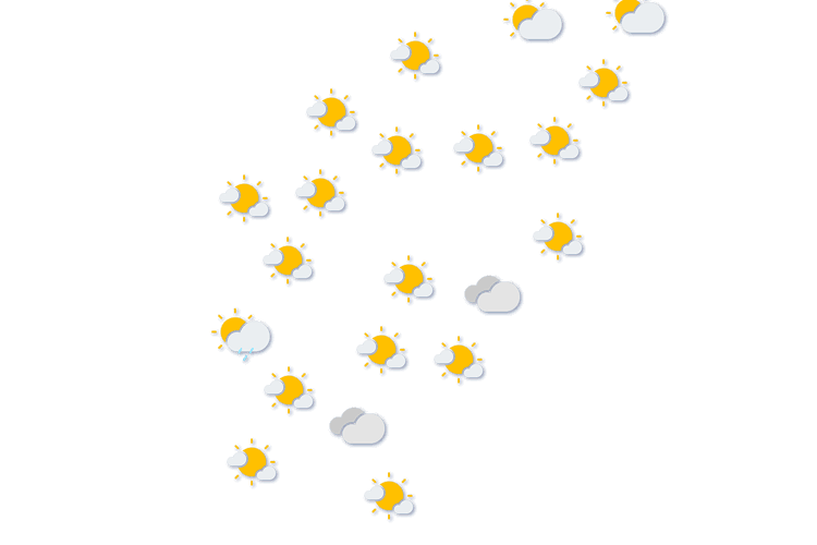 Forecast