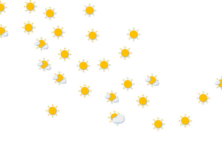 Forecast