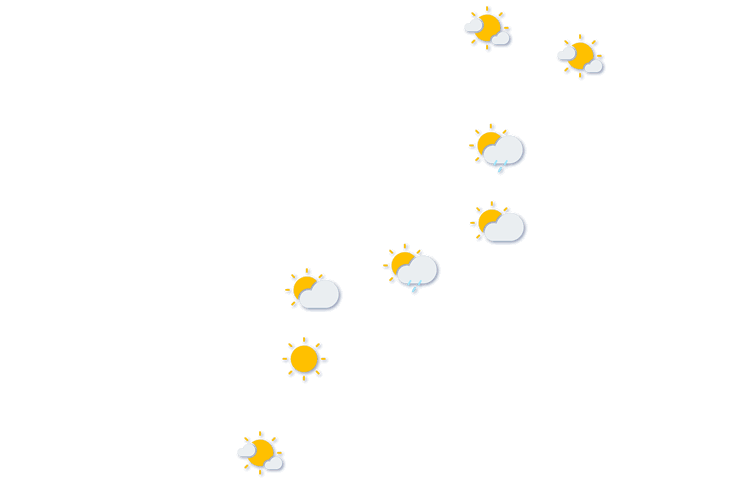 Forecast