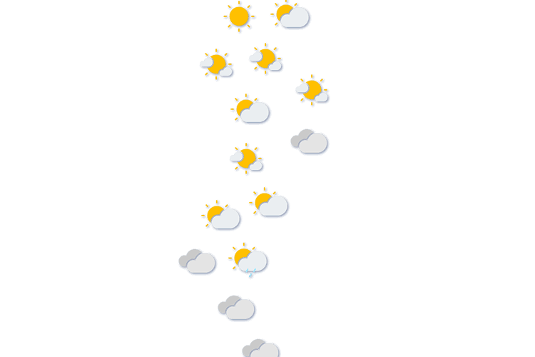 Forecast