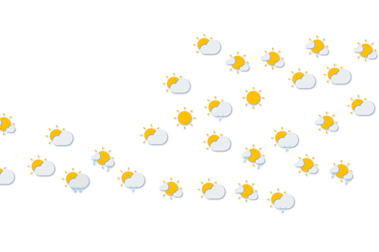 Forecast