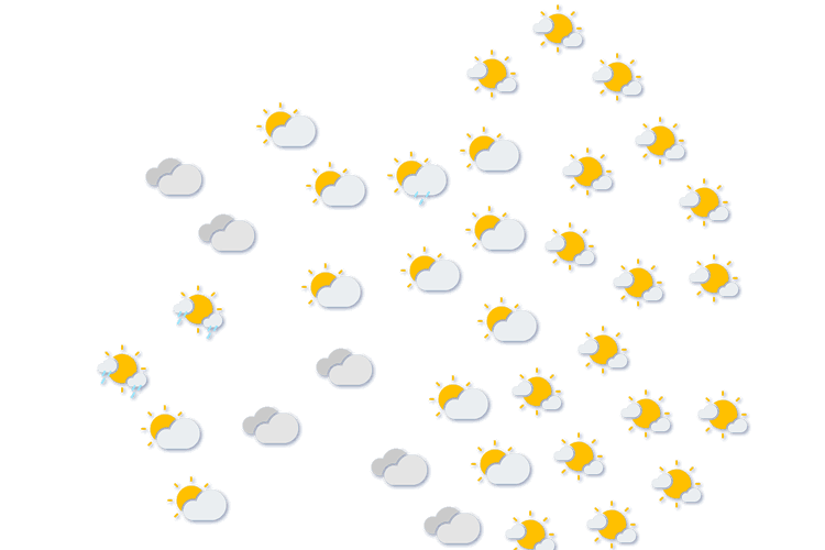 Forecast
