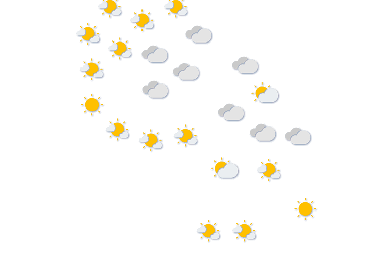 Forecast