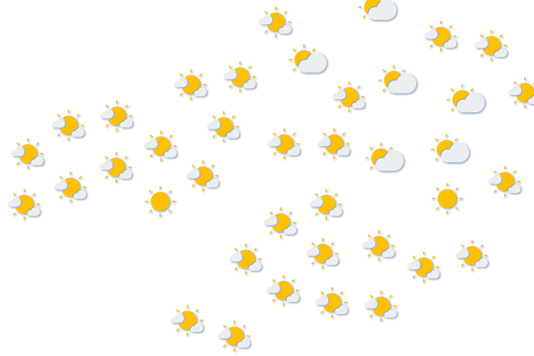 Forecast