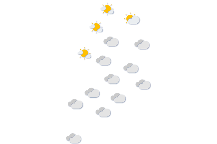 Forecast